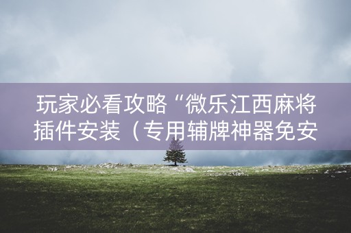 玩家必看攻略“微乐江西麻将插件安装（专用辅牌神器免安装）