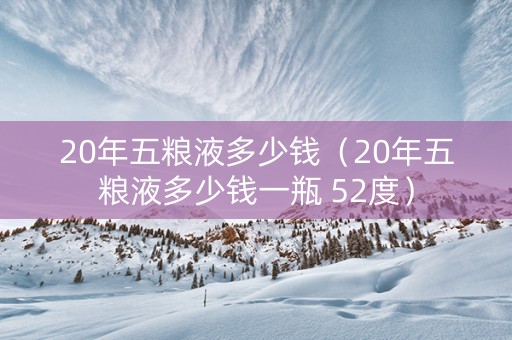 20年五粮液多少钱（20年五粮液多少钱一瓶 52度）