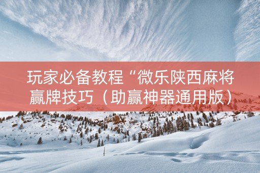 玩家必备教程“微乐陕西麻将赢牌技巧（助赢神器通用版）
