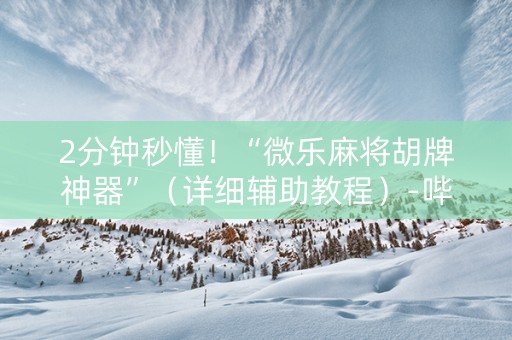 2分钟秒懂！“微乐麻将胡牌神器”（详细辅助教程）-哔哩哔哩