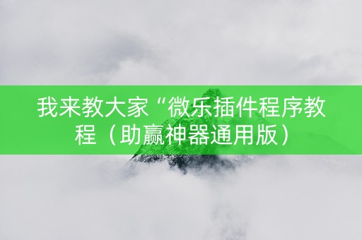 我来教大家“微乐插件程序教程（助赢神器通用版）