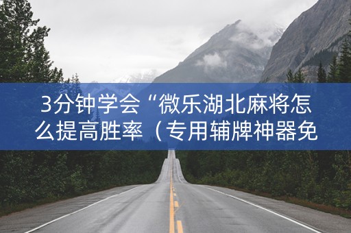 3分钟学会“微乐湖北麻将怎么提高胜率（专用辅牌神器免安装）