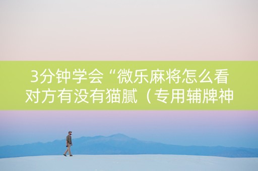 3分钟学会“微乐麻将怎么看对方有没有猫腻（专用辅牌神器免安装）
