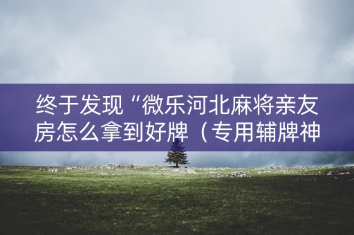 终于发现“微乐河北麻将亲友房怎么拿到好牌（专用辅牌神器免安装）