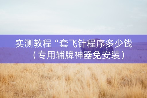 实测教程“套飞针程序多少钱（专用辅牌神器免安装）