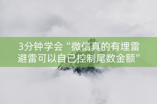 3分钟学会“微信真的有埋雷避雷可以自已控制尾数金额”（详细透视教程）-哔哩哔哩