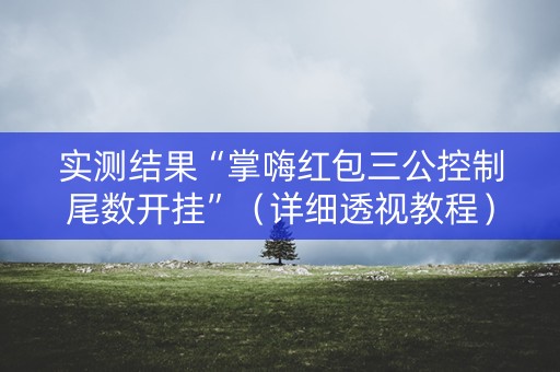实测结果“掌嗨红包三公控制尾数开挂”（详细透视教程）-哔哩哔哩