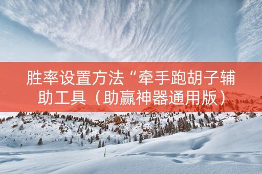 胜率设置方法“牵手跑胡子辅助工具（助赢神器通用版）