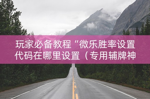 玩家必备教程“微乐胜率设置代码在哪里设置（专用辅牌神器免安装）