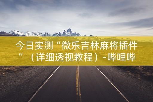 今日实测“微乐吉林麻将插件”（详细透视教程）-哔哩哔哩