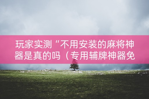 玩家实测“不用安装的麻将神器是真的吗（专用辅牌神器免安装）