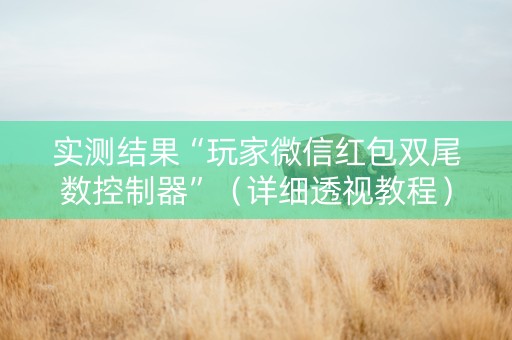 实测结果“玩家微信红包双尾数控制器”（详细透视教程）-哔哩哔哩