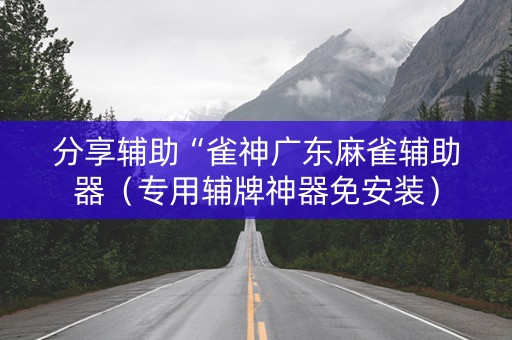 分享辅助“雀神广东麻雀辅助器（专用辅牌神器免安装）