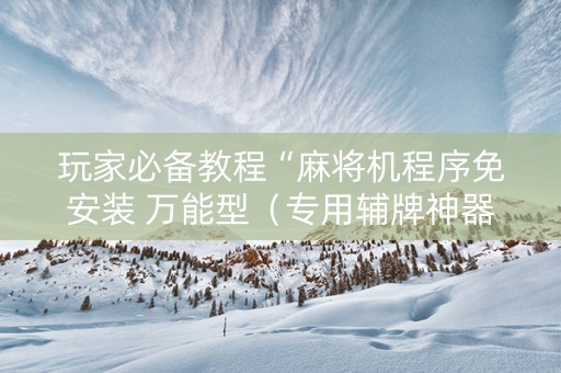 玩家必备教程“麻将机程序免安装 万能型（专用辅牌神器免安装）