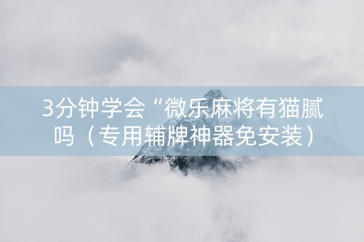 3分钟学会“微乐麻将有猫腻吗（专用辅牌神器免安装）