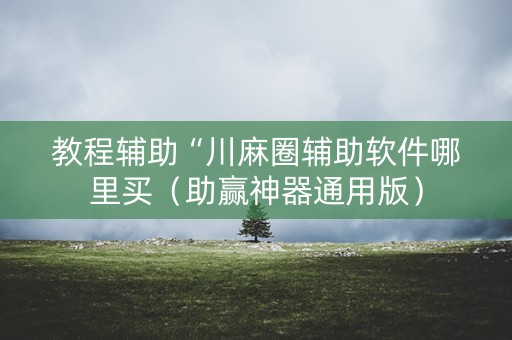 教程辅助“川麻圈辅助软件哪里买（助赢神器通用版）