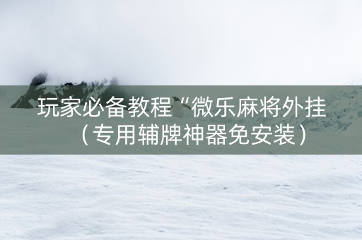 玩家必备教程“微乐麻将外挂（专用辅牌神器免安装）