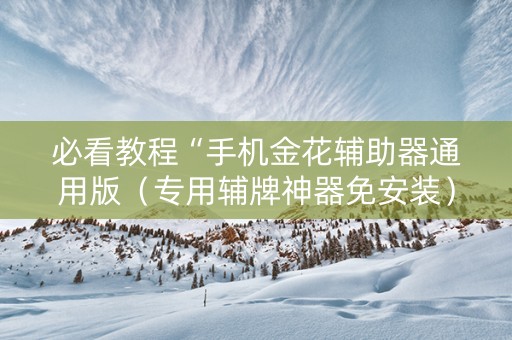 必看教程“手机金花辅助器通用版（专用辅牌神器免安装）