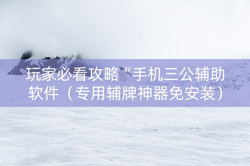玩家必看攻略“手机三公辅助软件（专用辅牌神器免安装）