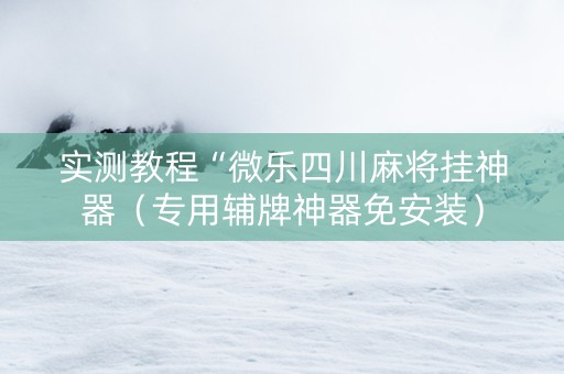 实测教程“微乐四川麻将挂神器（专用辅牌神器免安装）