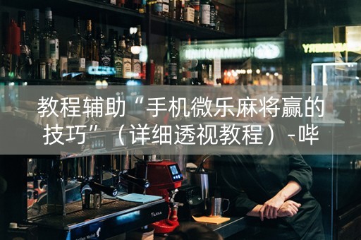 教程辅助“手机微乐麻将赢的技巧”（详细透视教程）-哔哩哔哩