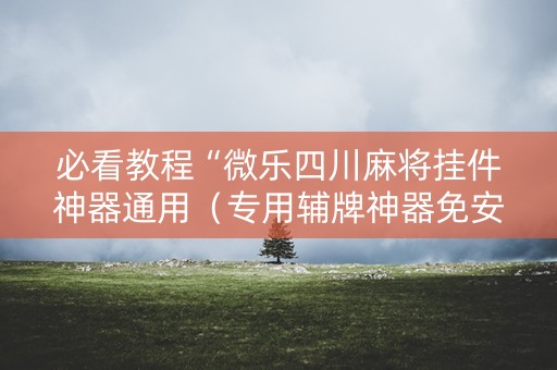 必看教程“微乐四川麻将挂件神器通用（专用辅牌神器免安装）