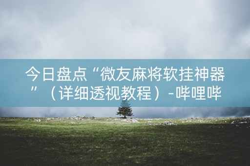 今日盘点“微友麻将软挂神器”（详细透视教程）-哔哩哔哩