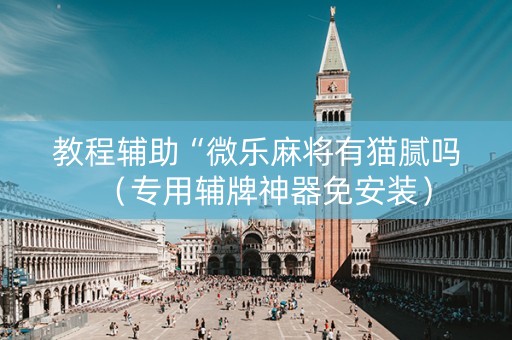 教程辅助“微乐麻将有猫腻吗（专用辅牌神器免安装）