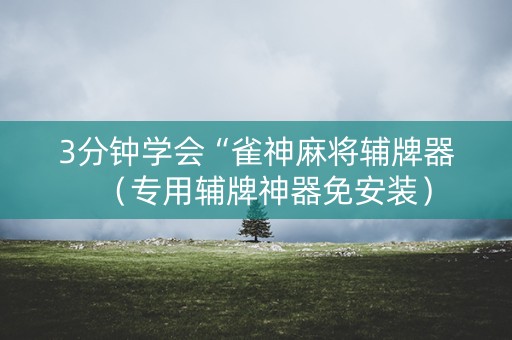 3分钟学会“雀神麻将辅牌器（专用辅牌神器免安装）