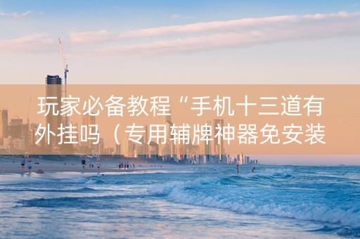 玩家必备教程“手机十三道有外挂吗（专用辅牌神器免安装）
