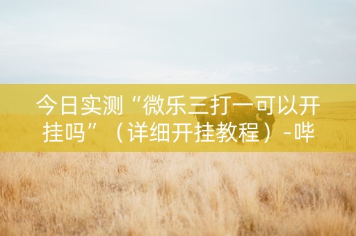 今日实测“微乐三打一可以开挂吗”（详细开挂教程）-哔哩哔哩