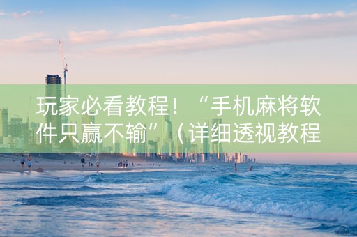 玩家必看教程！“手机麻将软件只赢不输”（详细透视教程）-哔哩哔哩