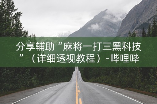 分享辅助“麻将一打三黑科技”（详细透视教程）-哔哩哔哩