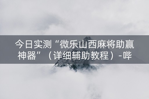 今日实测“微乐山西麻将助赢神器”（详细辅助教程）-哔哩哔哩