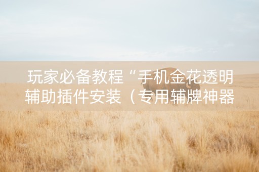 玩家必备教程“手机金花透明辅助插件安装（专用辅牌神器免安装）