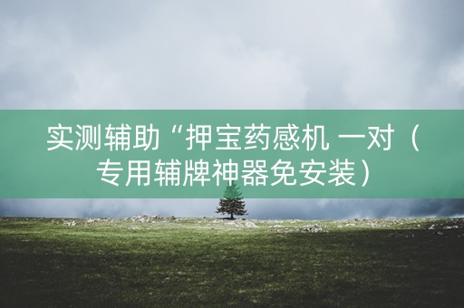 实测辅助“押宝药感机 一对（专用辅牌神器免安装）