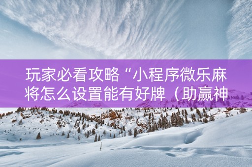 玩家必看攻略“小程序微乐麻将怎么设置能有好牌（助赢神器通用版）