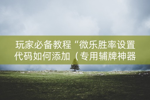 玩家必备教程“微乐胜率设置代码如何添加（专用辅牌神器免安装）