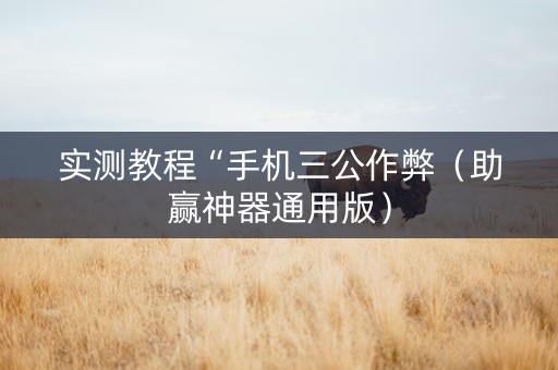 实测教程“手机三公作弊（助赢神器通用版）