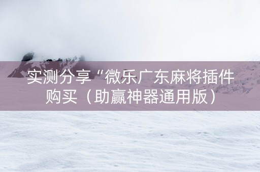 实测分享“微乐广东麻将插件购买（助赢神器通用版）