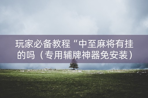 玩家必备教程“中至麻将有挂的吗（专用辅牌神器免安装）