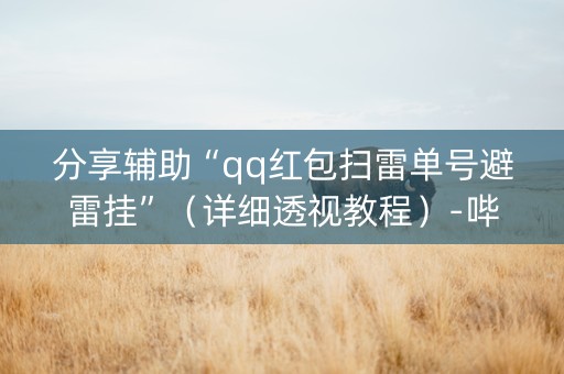 分享辅助“qq红包扫雷单号避雷挂”（详细透视教程）-哔哩哔哩