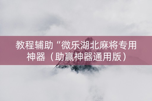 教程辅助“微乐湖北麻将专用神器（助赢神器通用版）