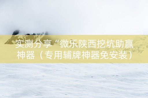 实测分享“微乐陕西挖坑助赢神器（专用辅牌神器免安装）