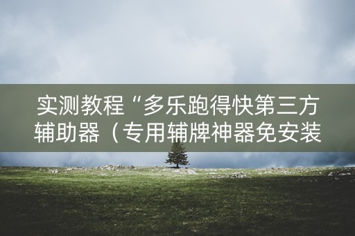 实测教程“多乐跑得快第三方辅助器（专用辅牌神器免安装）