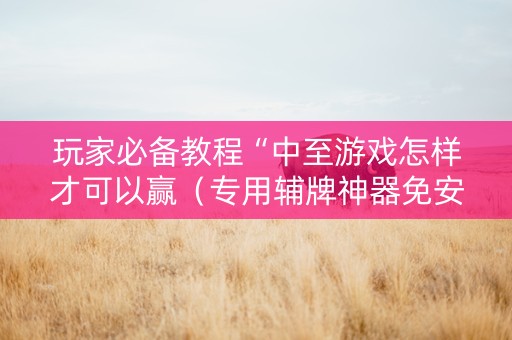 玩家必备教程“中至游戏怎样才可以赢（专用辅牌神器免安装）