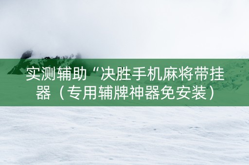 实测辅助“决胜手机麻将带挂器（专用辅牌神器免安装）