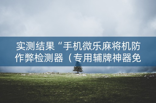 实测结果“手机微乐麻将机防作弊检测器（专用辅牌神器免安装）
