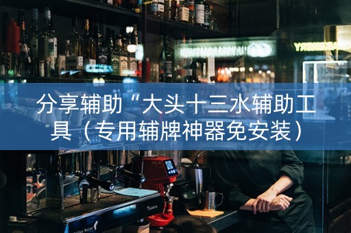 分享辅助“大头十三水辅助工具（专用辅牌神器免安装）