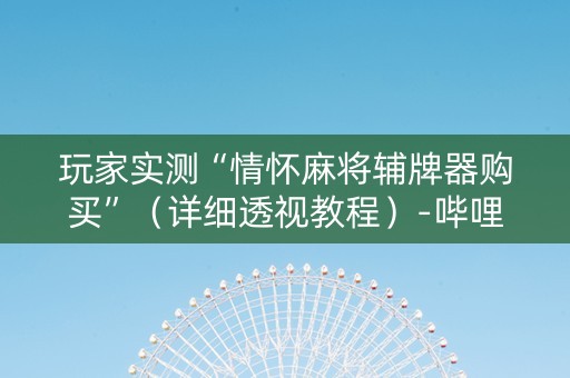 玩家实测“情怀麻将辅牌器购买”（详细透视教程）-哔哩哔哩